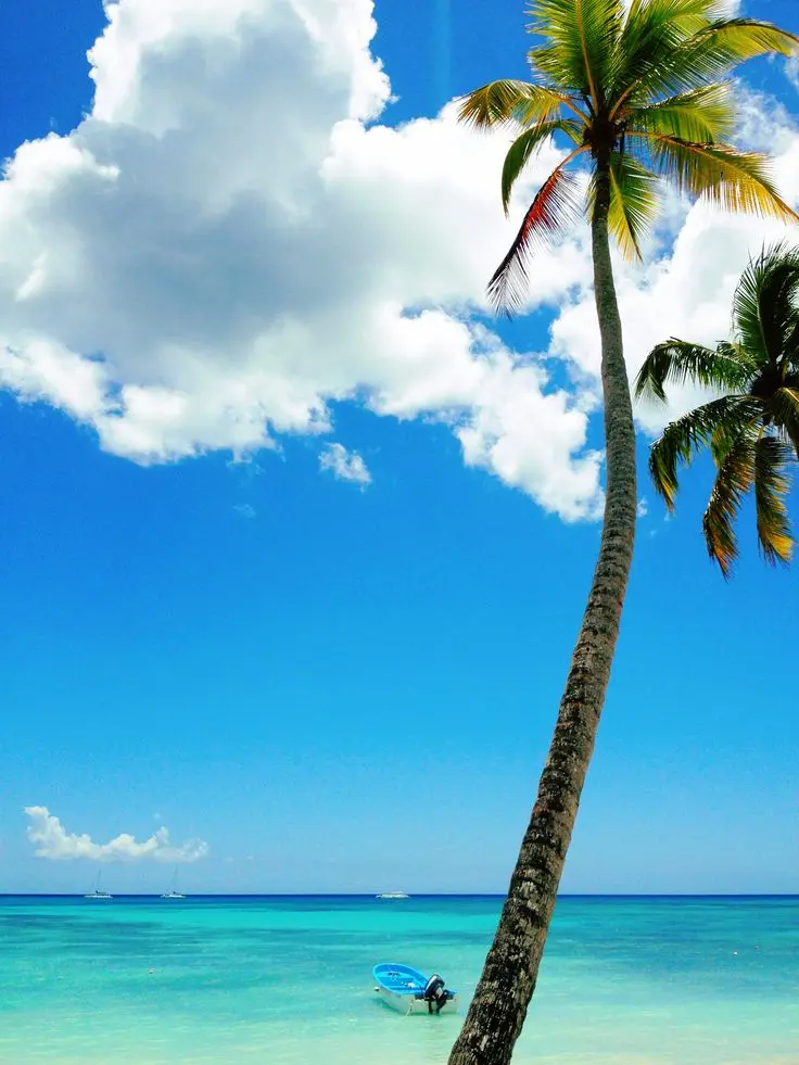 Imagen del Caribe