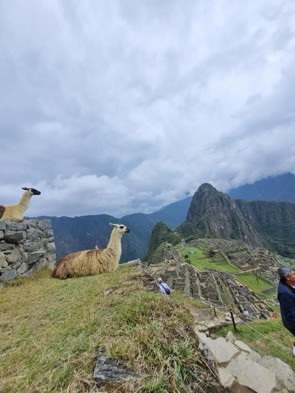Imagen de Perú